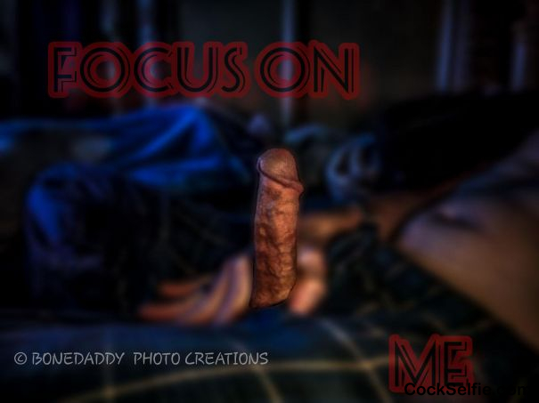 Focus on me - Cock Selfie
