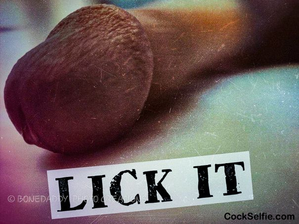 Lick it - Cock Selfie