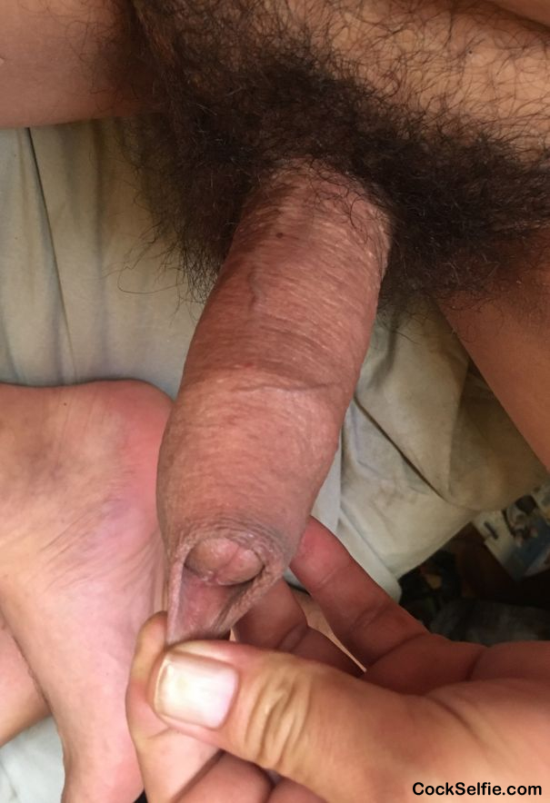 Hairy hispanic brown cock!!! - Cock Selfie