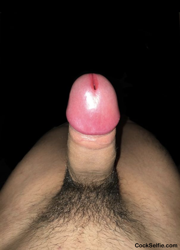 Pink Tip - Cock Selfie