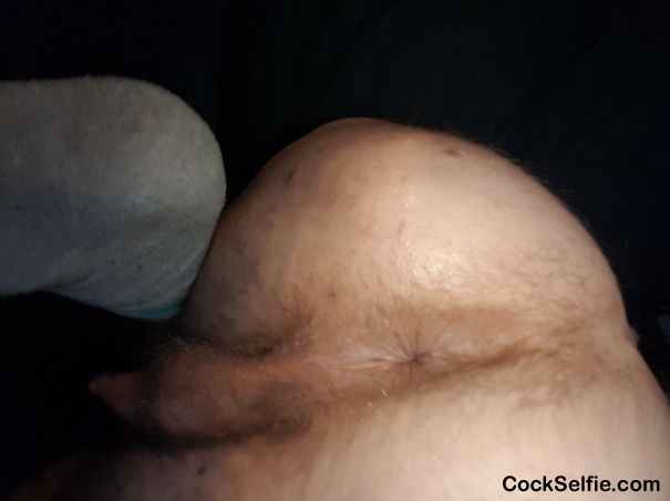 Hairy ass - Cock Selfie