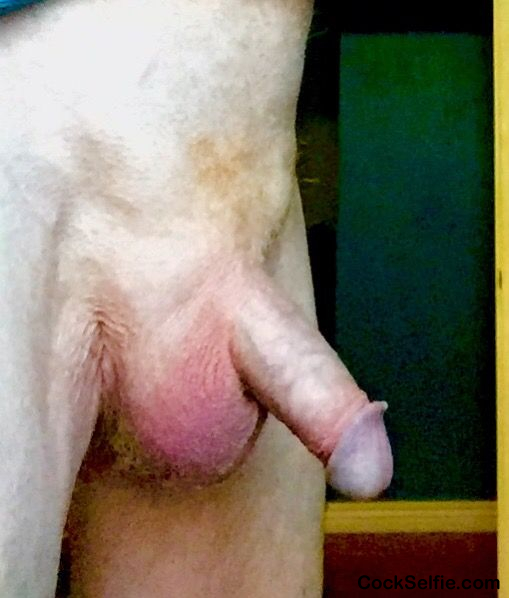 Other side - Cock Selfie