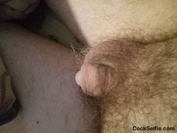 Tiny and grows to 6 and a half - Cock Selfie