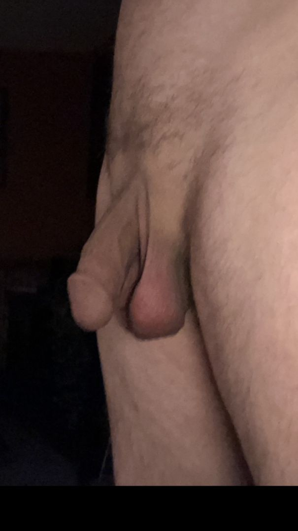 Saturday softie. Give it a tug? - Cock Selfie