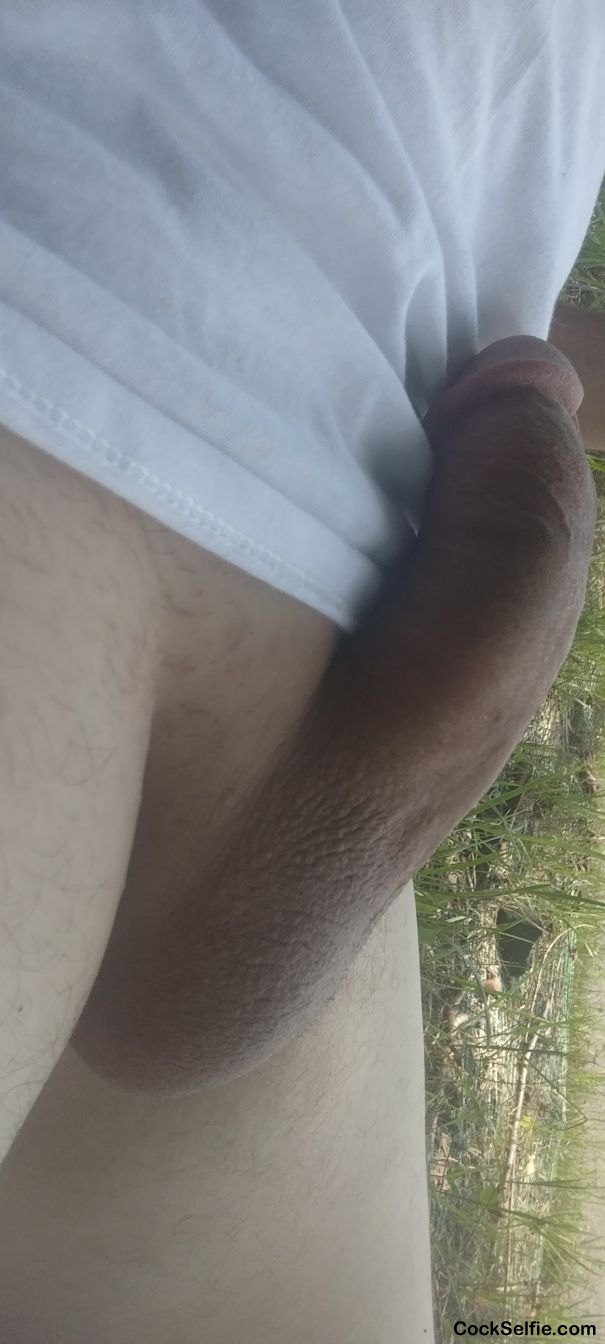 How do you like that cock - Cock Selfie